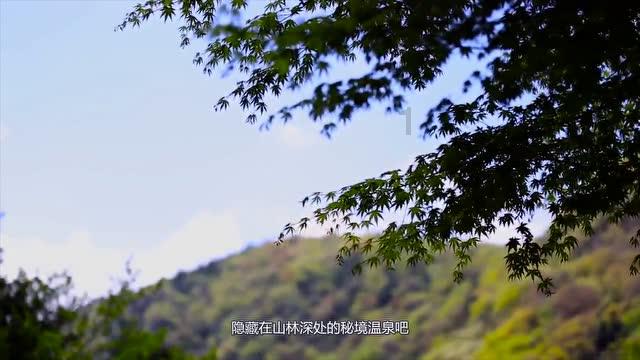 小红帽找不同