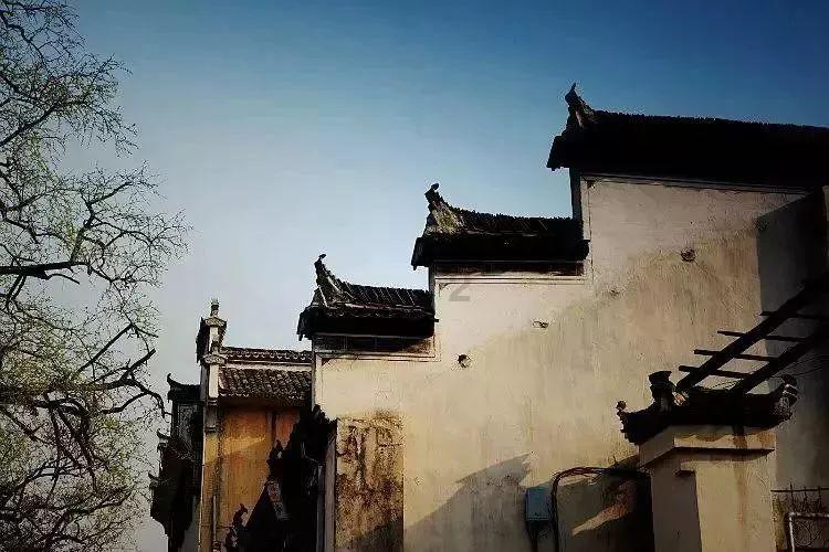 逃离梦想花园